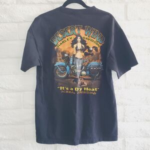 Harley Davidson Desert Wind Men's Graphic T-Shirt Mesa AZ Motorcycle  Sz L
